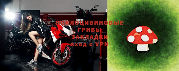 прущая мука Инта