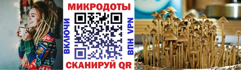Купить закладки  Тетюши  Галлюциногенные грибы GOLDEN TEACHER 